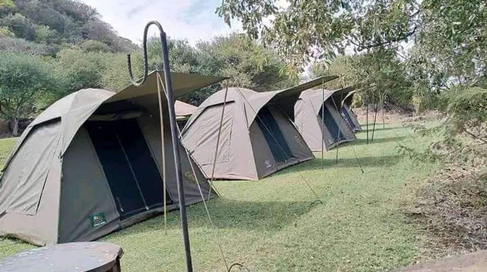 2-Day Tarangire and Ngorongoro Crater Safari - Anapa Travel Africa Tours - Tanzania - Image 3