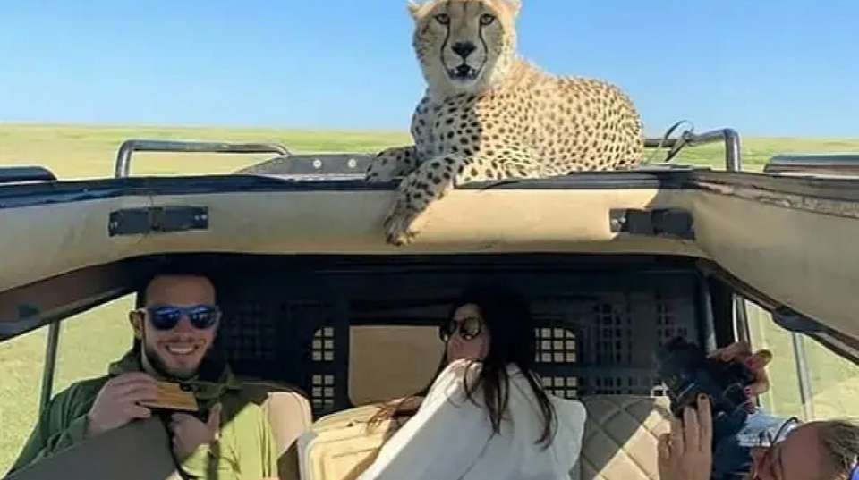 6-Day Safari in Tarangire, Serengeti, Ngorongoro& Manyara - Anapa Travel Africa Tours - Tanzania - Image 6