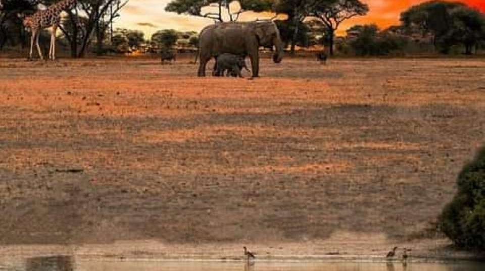 3-Day Tarangire, Ngorongoro, and Lake Manyara Safari - undefined - Image 7