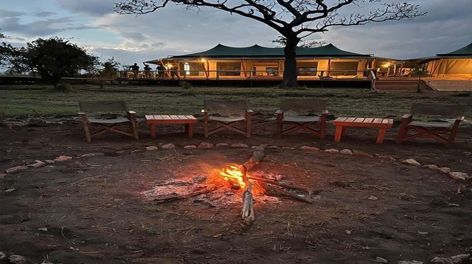 4-Day Safari in Tarangire, Serengeti & Ngorongoro Private - Anapa Travel Africa Tours - Tanzania - Image 9