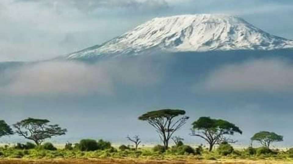 6-Day Kilimanjaro Climbing via Rongai Route - Anapa Travel Africa Tours - Tanzania - Image 7