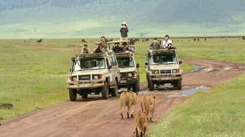 2-Day Tarangire and Ngorongoro Crater Safari - Anapa Travel Africa Tours - Tanzania - Image 8