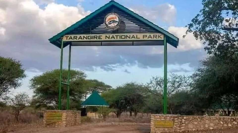 5-Day Safari in Tarangire, Serengeti,Ngoro &Manyara Group - Anapa Travel Africa Tours - Tanzania - Image 5