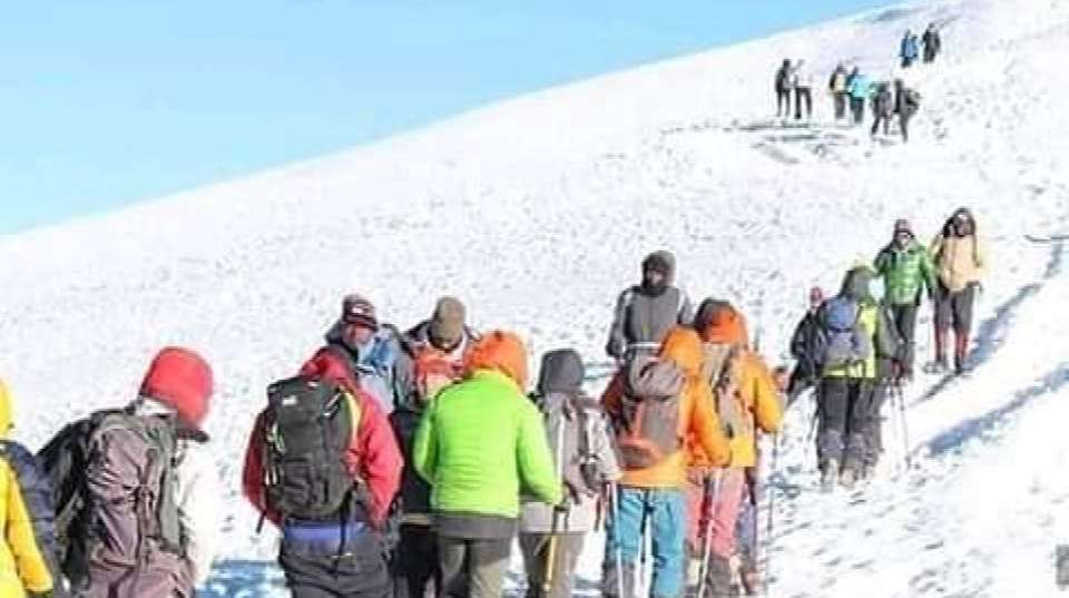 7-Day Kilimanjaro Climbing via Lemosho Route - Anapa Travel Africa Tours - Tanzania - Image 8