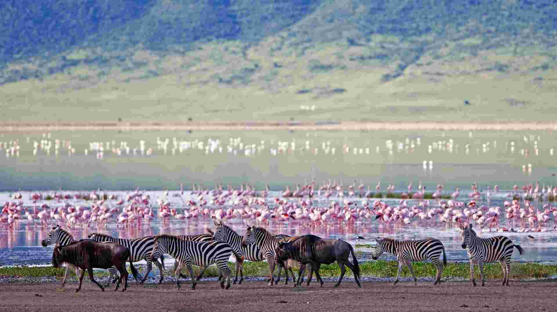 3-Day Tarangire, Ngorongoro, and Lake Manyara Safari Join