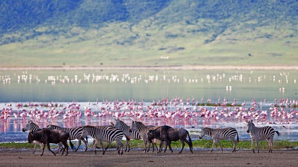 3-Day Tarangire, Ngorongoro, and Lake Manyara Safari - undefined - Image 3