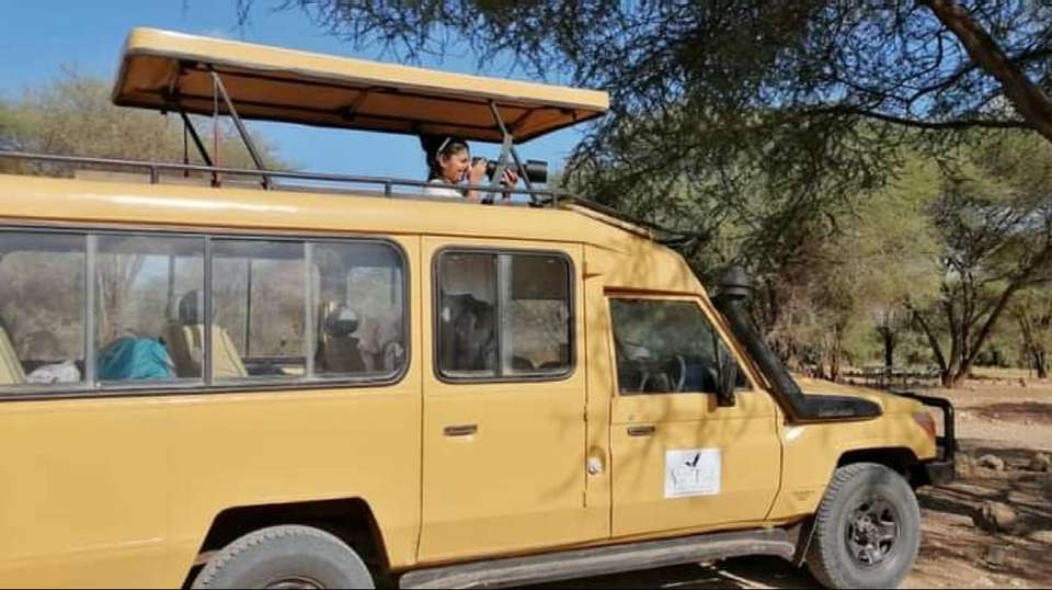 2-Day Safari Lake Manayara Park& Ngorongoro Crater Lodge - Anapa Travel Africa Tours - Tanzania - Image 3