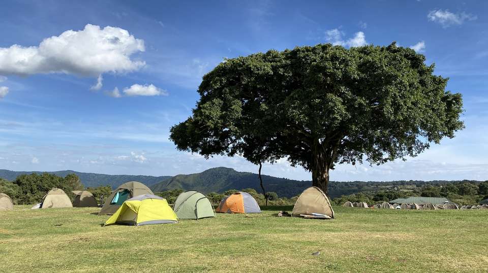 4-Day Safari in Tarangire, Serengeti & Ngorongoro Group - Anapa Travel Africa Tours - Tanzania - Image 4