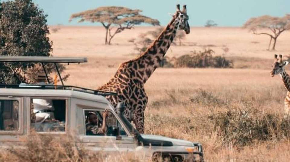 2-Day Tarangire and Ngorongoro Crater Safari - Anapa Travel Africa Tours - Tanzania - Image 1