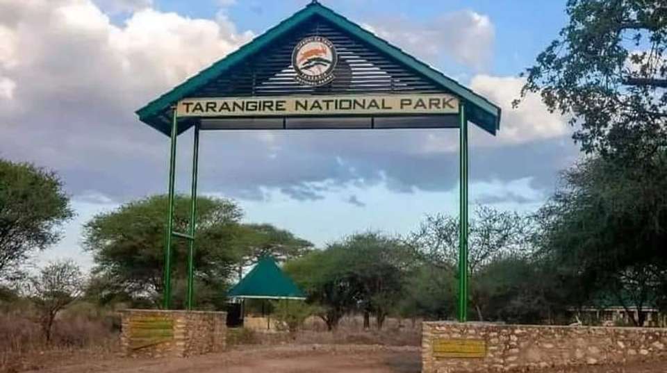 2-Day Tarangire and Ngorongoro Crater Safari - Anapa Travel Africa Tours - Tanzania - Image 5