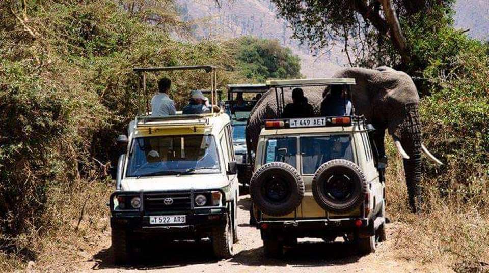 2-Day Safari Lake Manayara Park& Ngorongoro Crater Lodge - Anapa Travel Africa Tours - Tanzania - Image 1