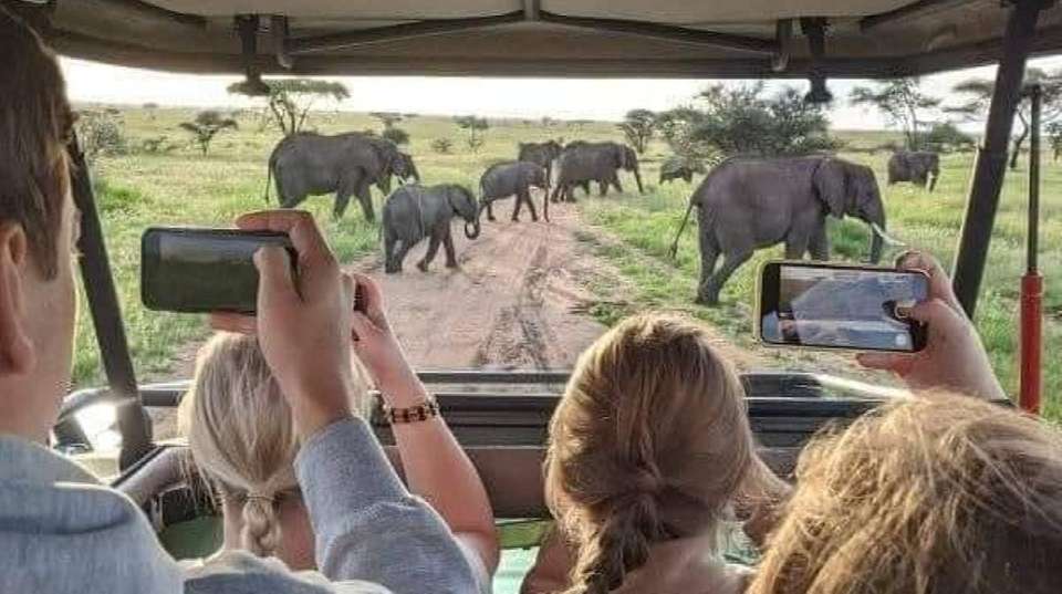 Safari from Zanzibar to Mikumi National Park by Flight - Anapa Travel Africa Tours - Tanzania - Image 4
