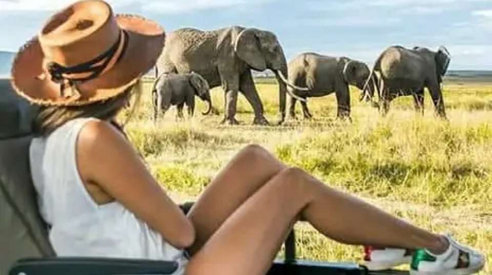 3-Day Tarangire, Ngorongoro, and Lake Manyara Safari - undefined - Image 6