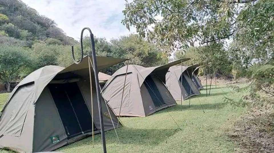 6-Day Safari in Tarangire, Serengeti, Ngorongoro& Manyara - Anapa Travel Africa Tours - Tanzania - Image 4