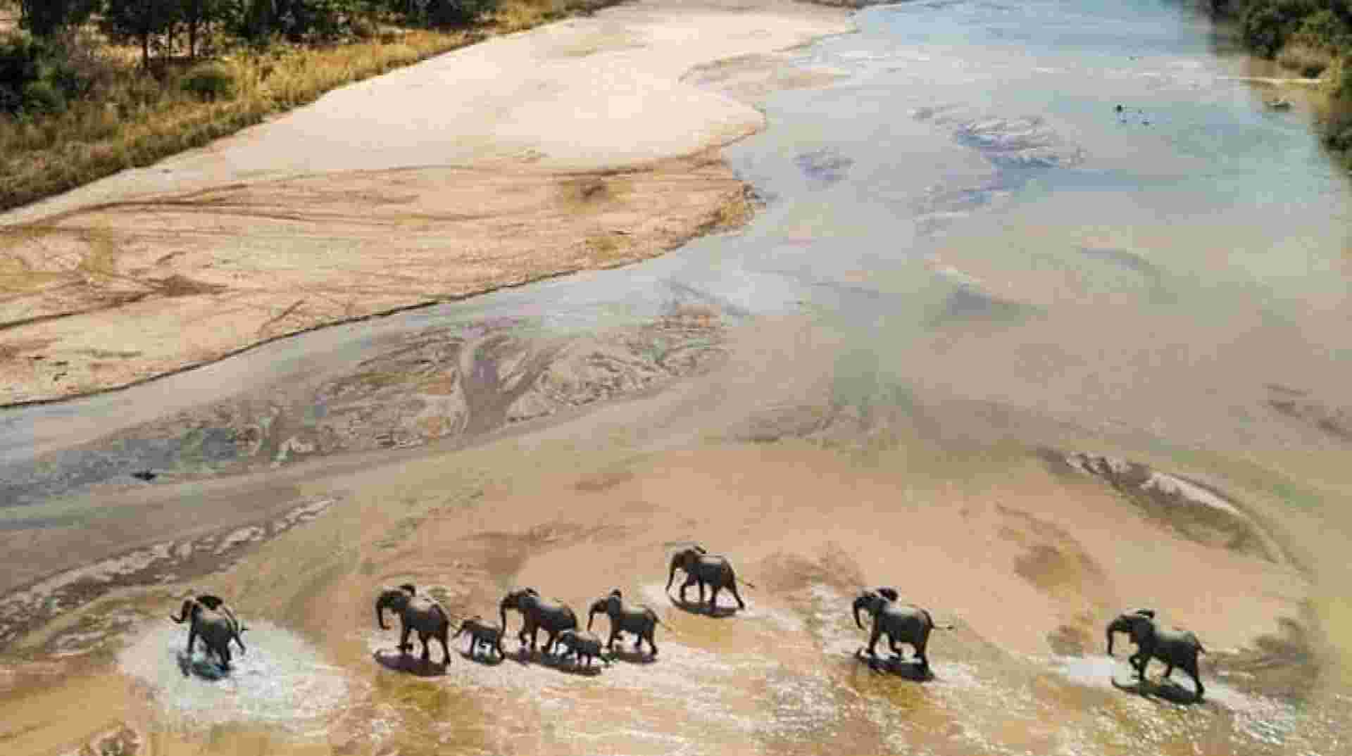 Safari Zanzibar to Nyerere (Selous) Park by Airplane