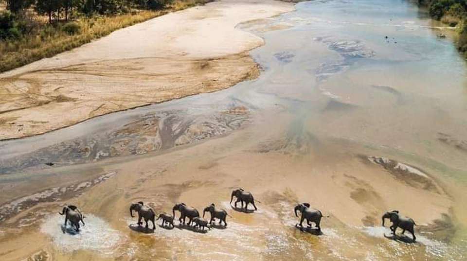 2Day Safari Zanzibar to Nyerere (Selous) Park by Airplane - Anapa Travel Africa Tours - Tanzania - Image 1