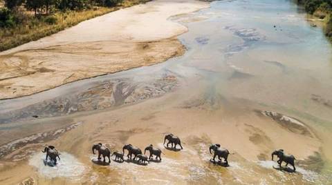 Safari Zanzibar To Nyerere (selous) Park By Airplane