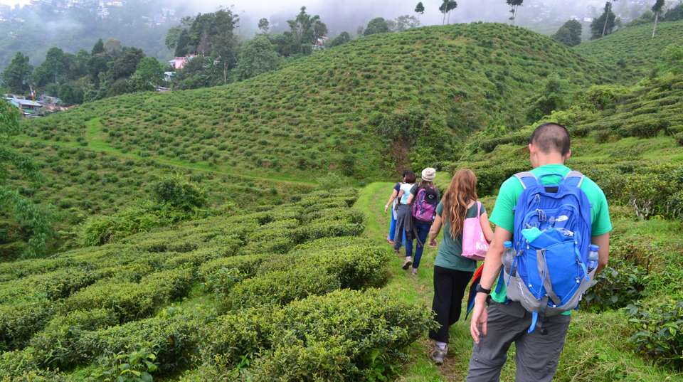 Darjeeling & Sikkim Authentic Cultural Tour - Ashmita Trek & Tours - India - Image 6