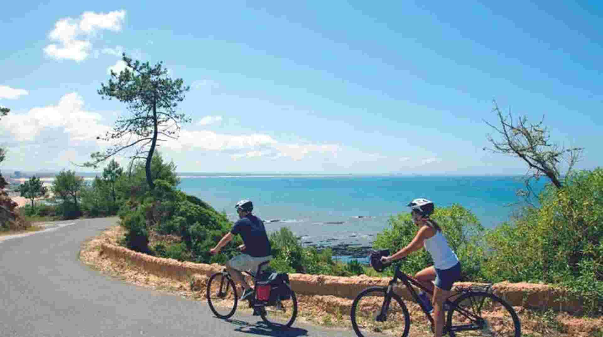 Seafood and Paradores Bike Tour - Wine & Food Lovers