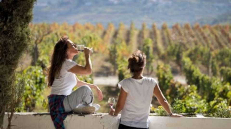Douro Wine Region Hike Tour - Authentic Trails - Portugal - Image 3