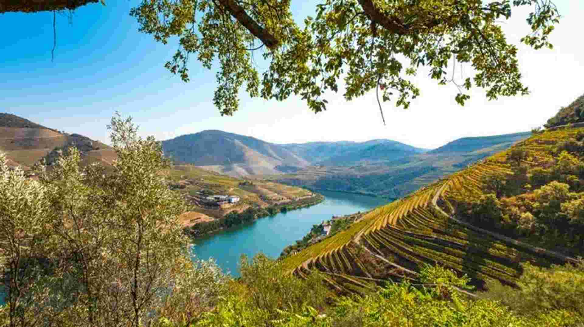 Douro Wine Region Hike Tour