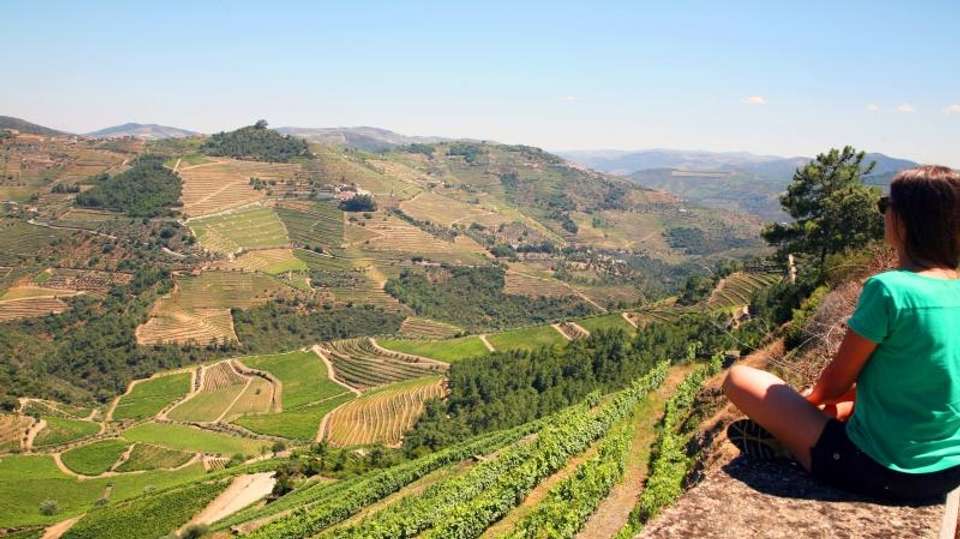 Douro Wine Region Hike Tour - Authentic Trails - Portugal - Image 4