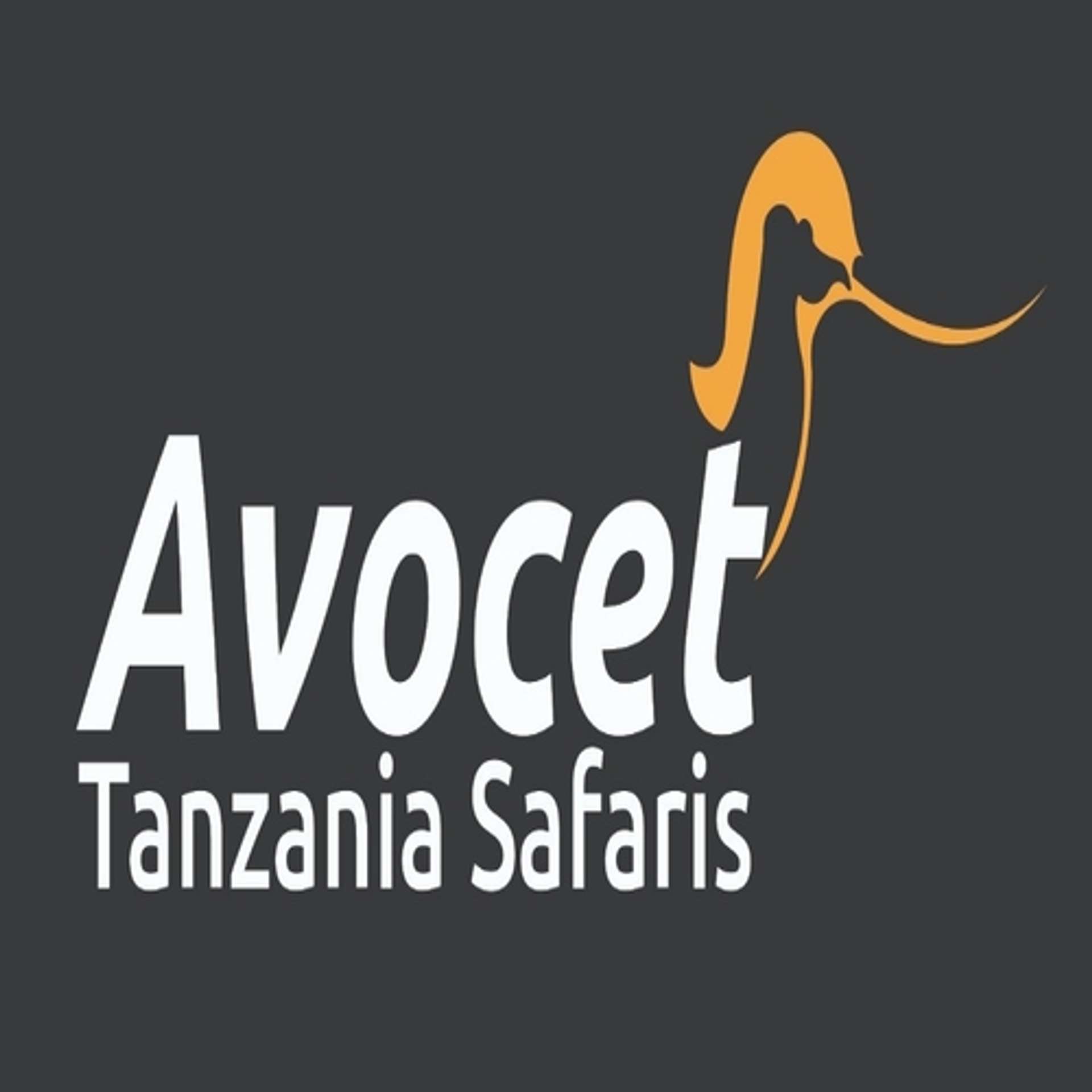Avocet Tanzania Safaris ltd