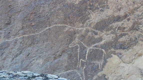 Image 5 of 7