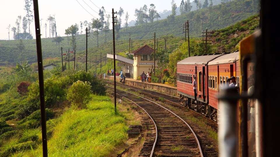 Hidden Gems and Iconic Highlights of Sri Lanka - Best Of Lanka (pvt) Ltd - Sri Lanka - Image 8