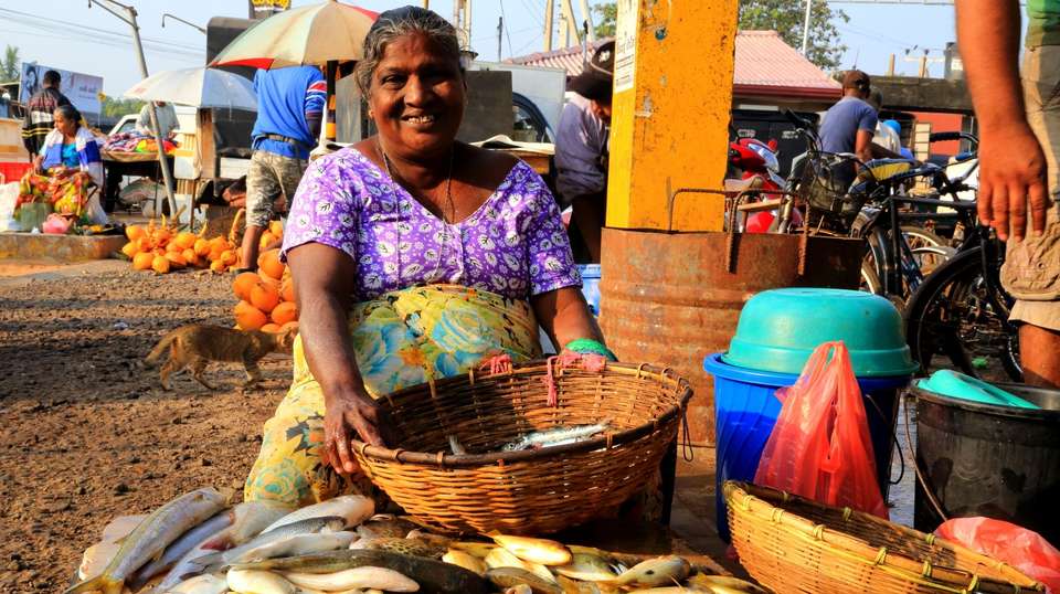 Hidden Gems and Iconic Highlights of Sri Lanka - Best Of Lanka (pvt) Ltd - Sri Lanka - Image 2