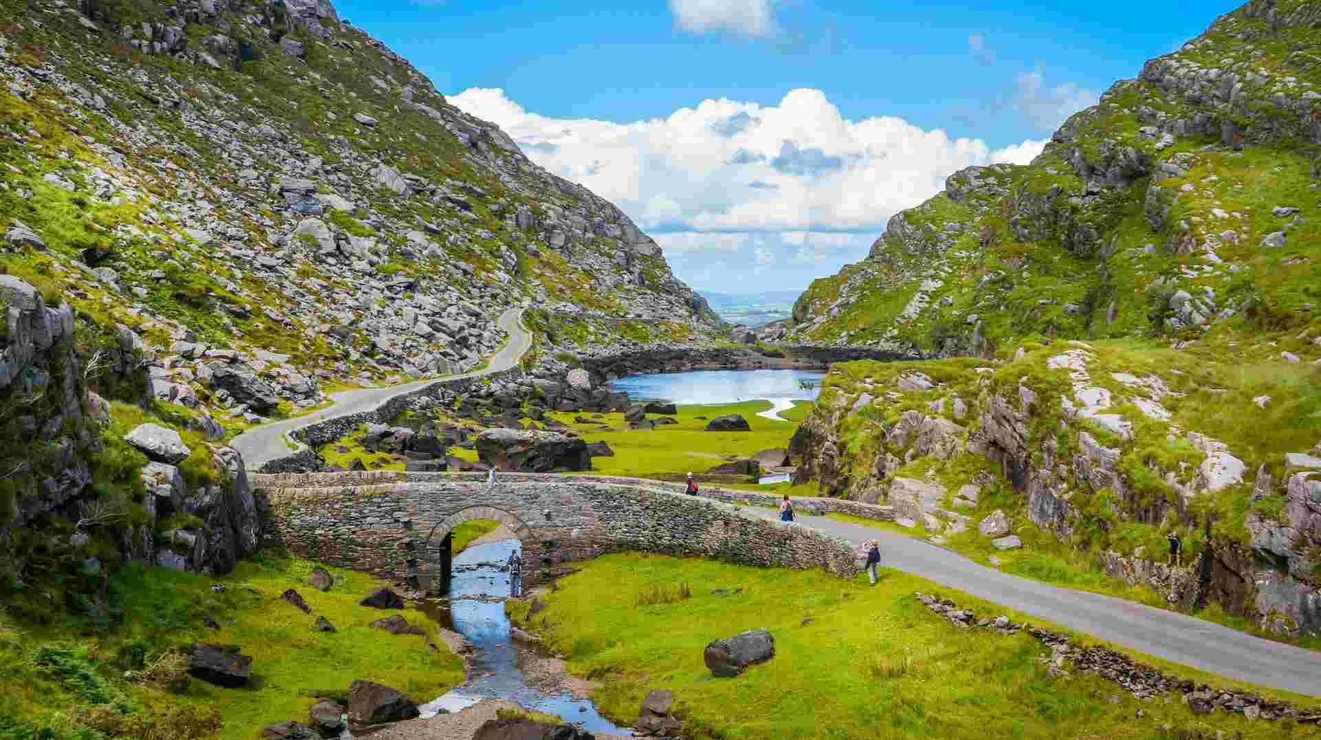 Irish Elegance - Premium