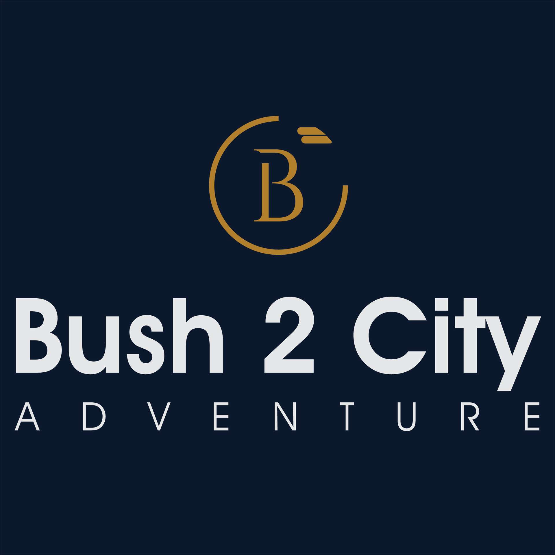Bush 2 City Adventure