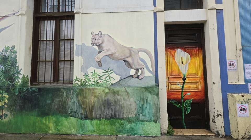 Full Day Tour Valparaiso, Viña del Mar and Casablanca  - Chilevivetours - Chile - Image 7