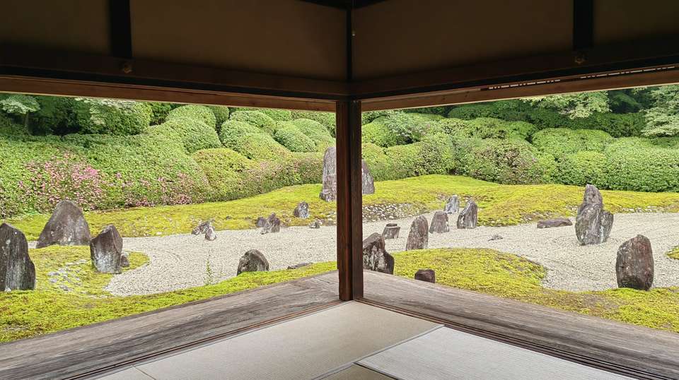 Japan Cherry Blossom Spring 2025 (10 Days) - undefined - Image 3