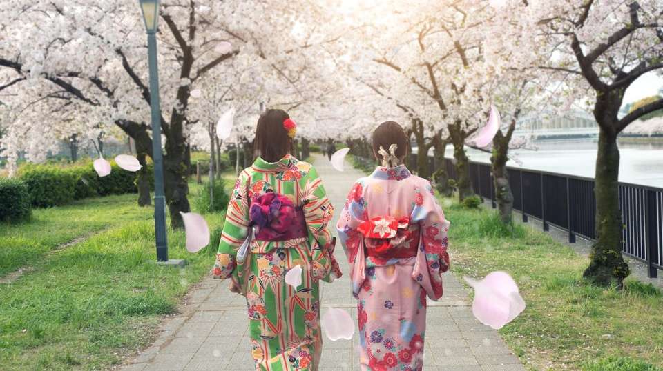  Best Japan Tour:  Rich Traditional Experiences - undefined - Image 4
