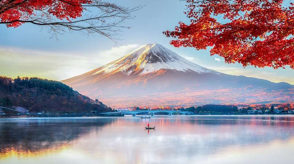 Japan Cherry Blossom Spring 2025 (10 Days) - undefined - Image 5