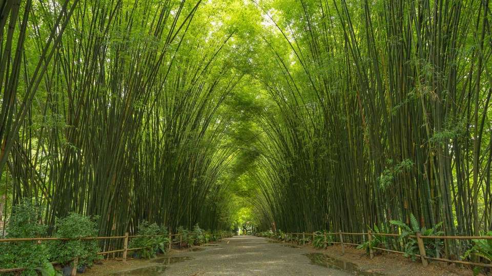 12-Day Japan Tradition and Culture Tour - Highlights Travel - Japan - Image 6