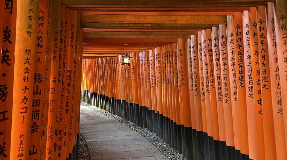 8-Day Japan Family Trip with Disneyland - Highlights Travel - Japan - Image 3
