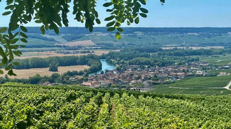 Private Champagne Moët Chandon Veuve Clicquot trip - alternative tour available
