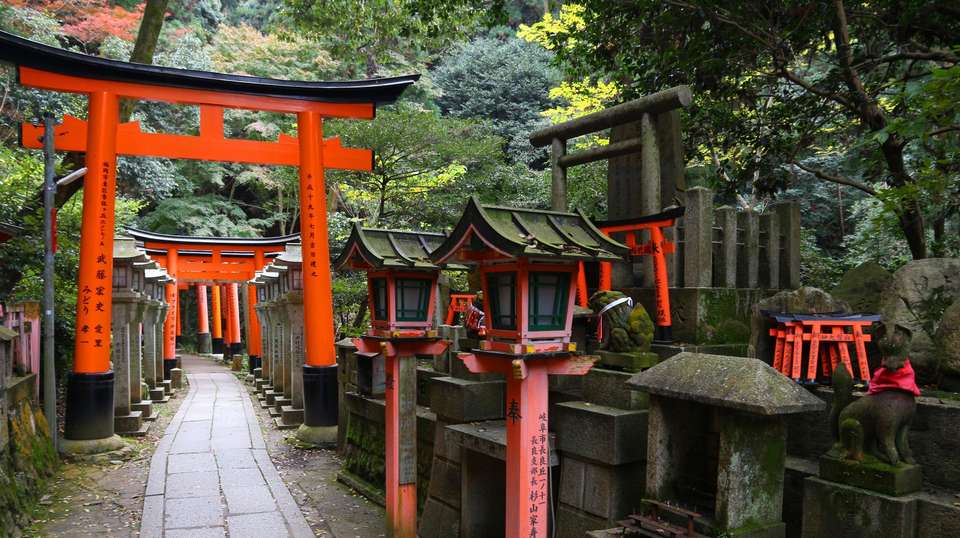 Japan Unrivalled - Contiki - Japan - Image 7