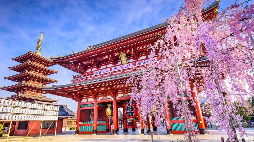 Japan Unrivalled - Contiki - Japan - Image 2
