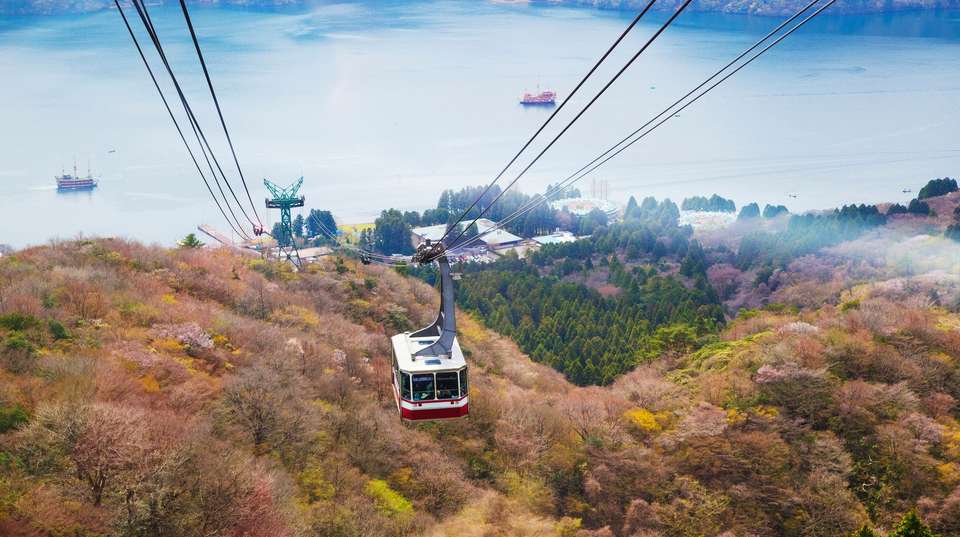 Japan Unrivalled - Contiki - Japan - Image 5