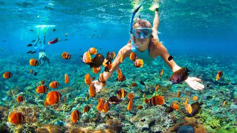 Great Barrier Reef Explorer