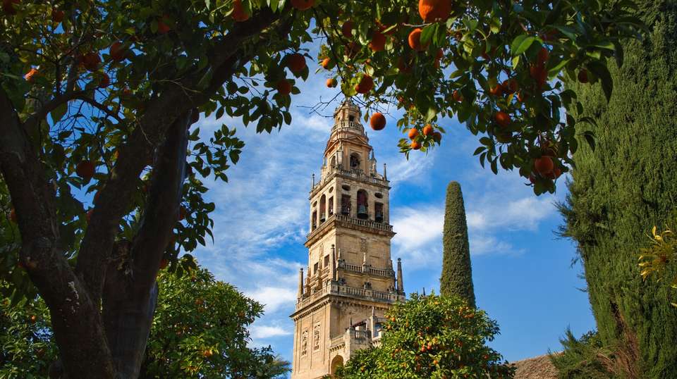 Best of Spain and Portugal - Contiki - Spain