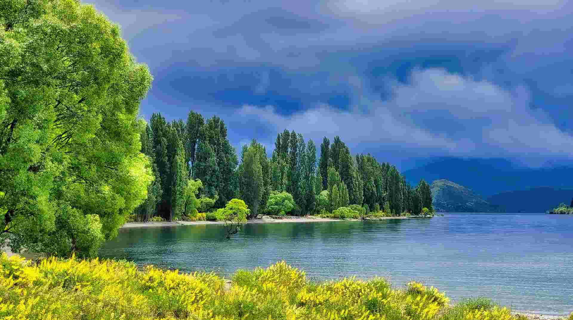 Active New Zealand