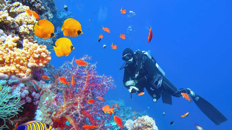Australia: North Queensland Adventure - Contiki - Australia - Image 6