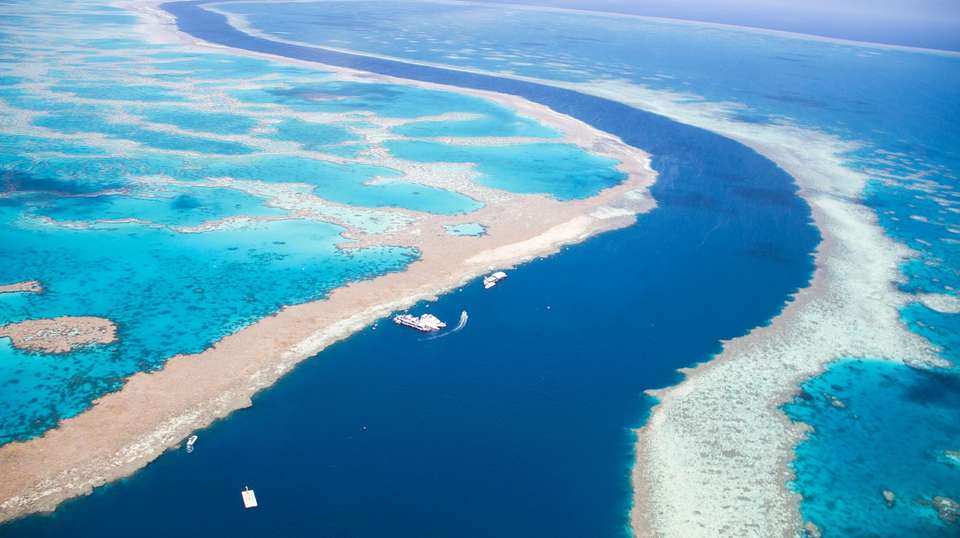 Great Barrier Reef Explorer - Contiki - Australia