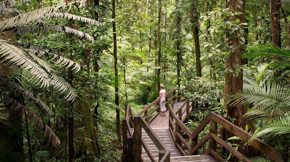 Australia: Beaches and Reefs - Contiki - Australia - Image 5
