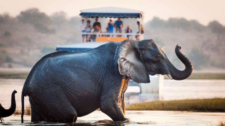 Southern Africa Safari - August 2027