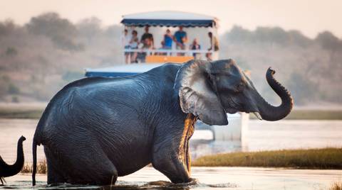 Southern Africa Safari - Spring Tours